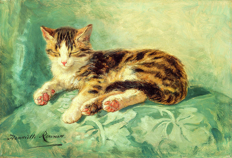 Cat Nap by Henriette Ronner-Knip by Henriette Ronner-Knip