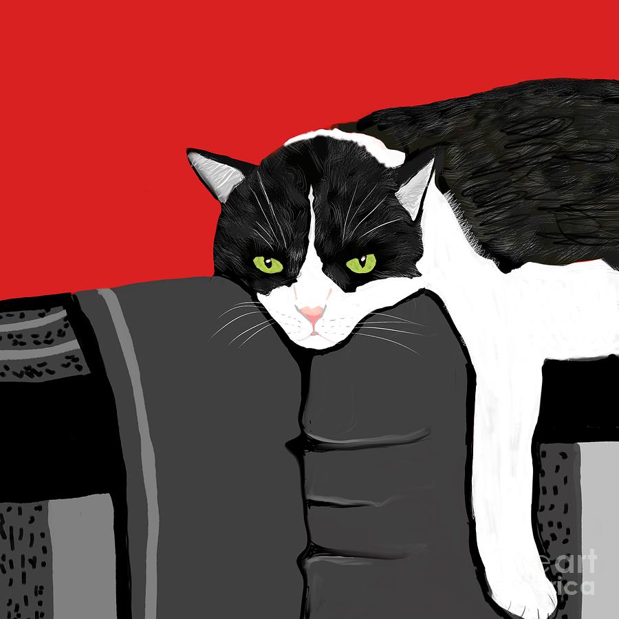 Cat nap  Digital Art by Elaine Hayward