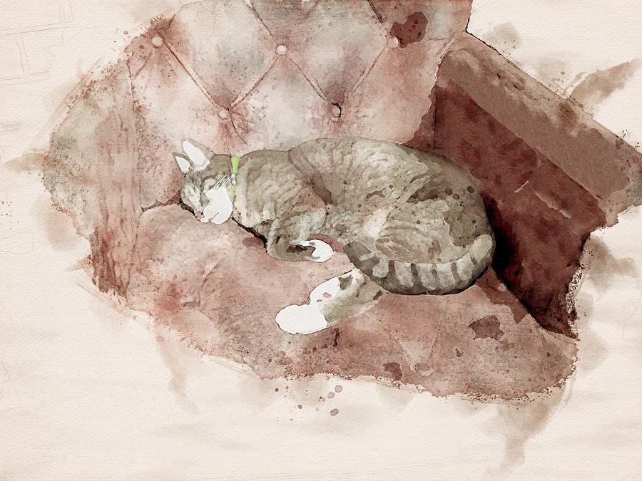 Cat Nap In A Favorite Chair Digital Art by Deborah League