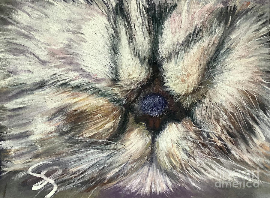 Cat Painting - Cat Nap by Susan Sarabasha