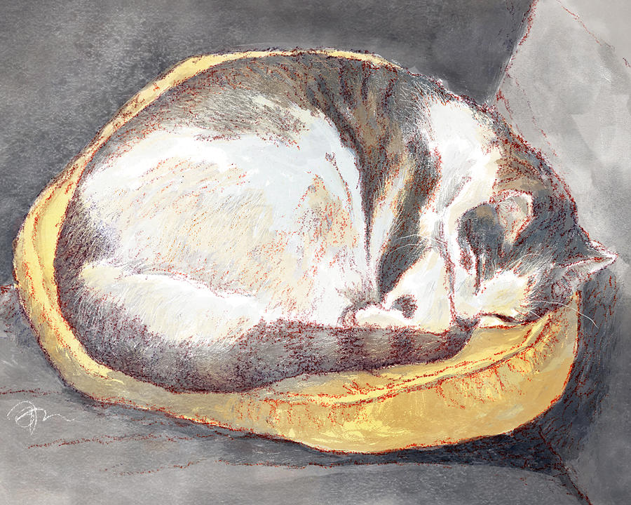 Cat Nap Painting by Tom Shannon - Fine Art America