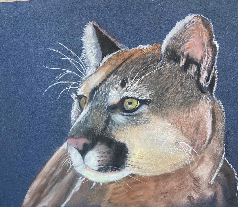 Cat of the Mountain Pastel by Michele Turney