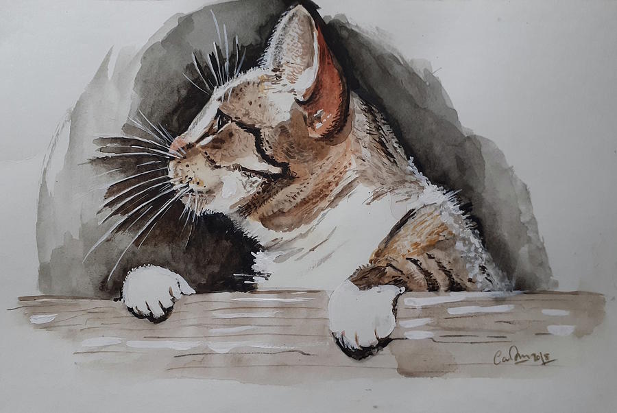 Cat on the wall Drawing by Carolina Prieto Moreno