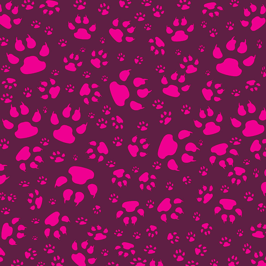 Cat Paws In Pink Photograph