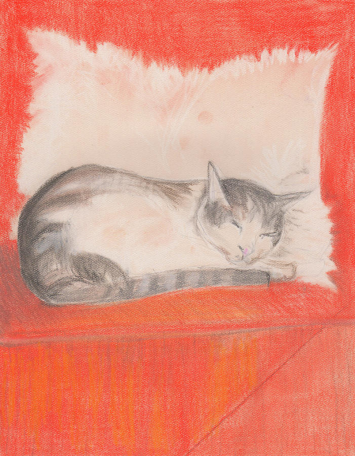 Catnapping in the sun Mixed Media by Anne H Smith - Pixels