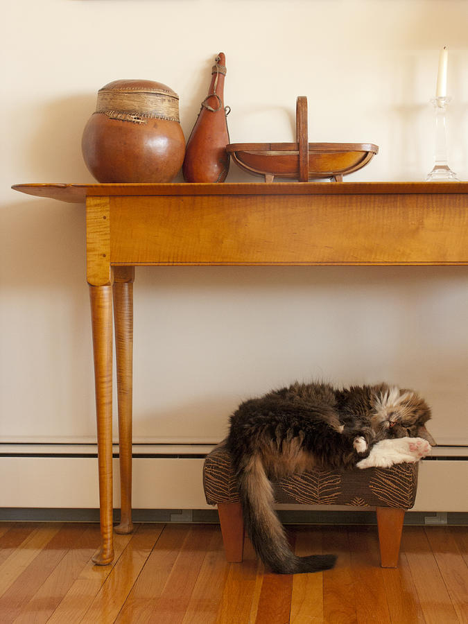Cat sleeping on foot stool Photograph by Bill Boch