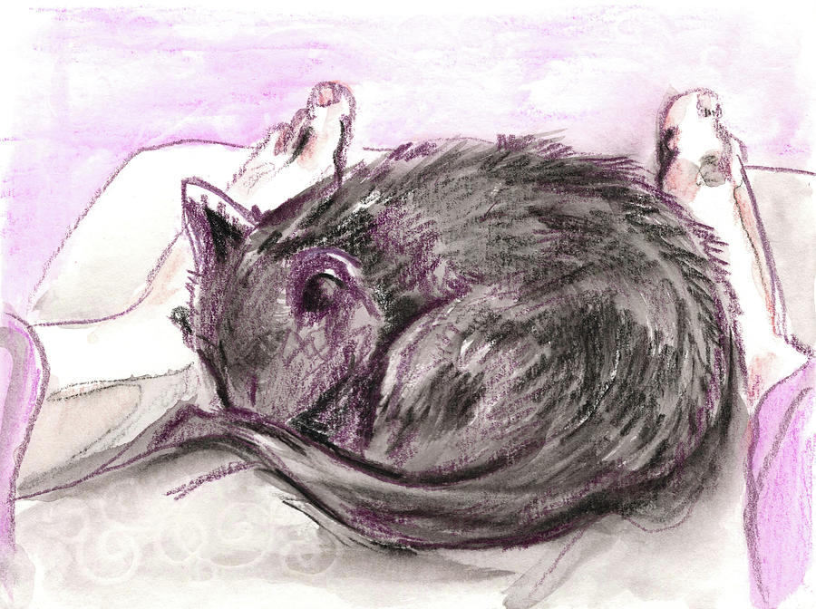 Cat Sleeping on my Feet Painting by Katherine Nutt
