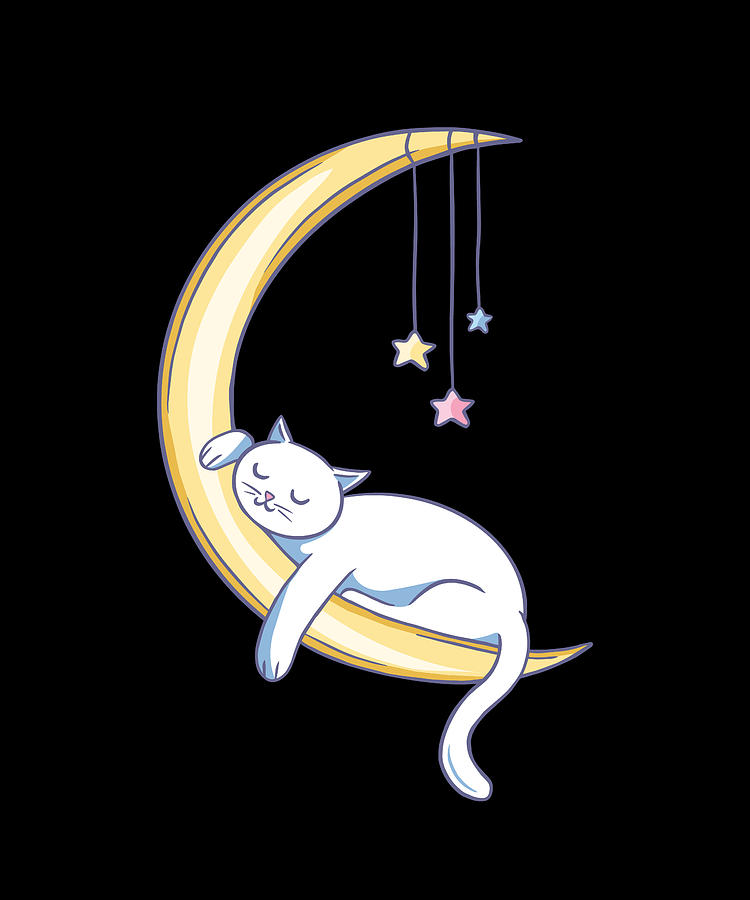 Cat sleeping on the Moon with a moon mobiles Digital Art by Norman W ...