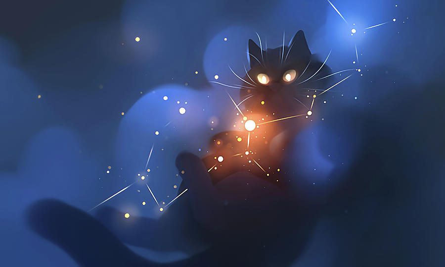 Cat Starfield Digital Art by Lac Lac - Pixels