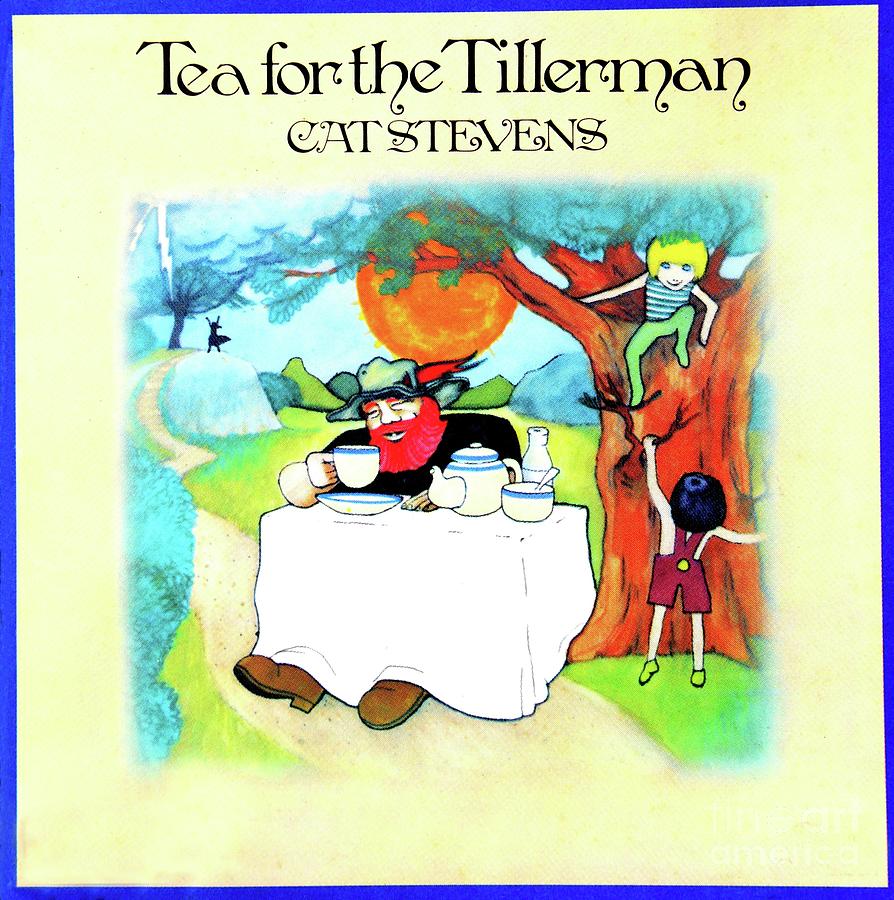 Cat Stevens Tea for the Tillerman album cover Photograph by David Lee ...