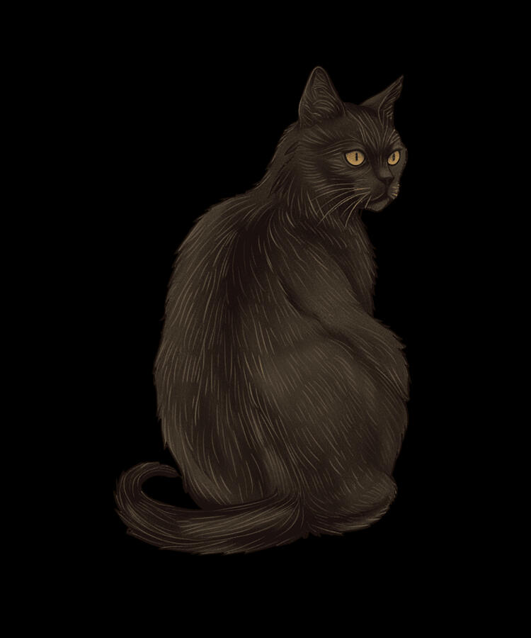 Cat Digital Art - Cat Tarot Teachings by Zery-bart