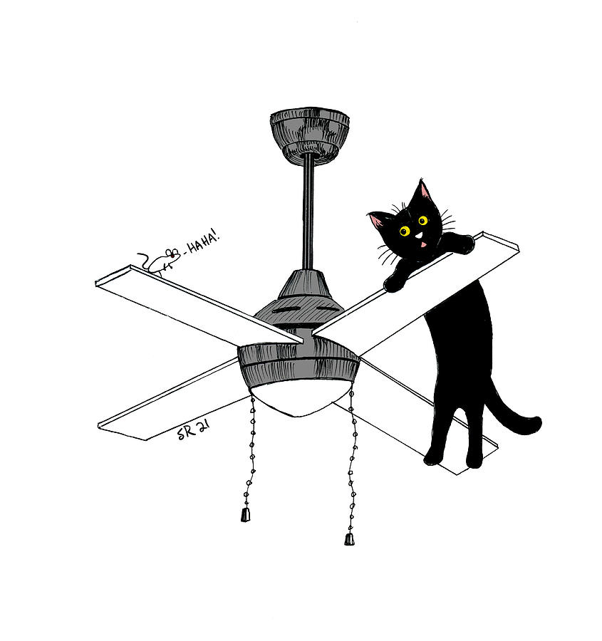 Cat Drawing - Cat Vs Celing Fan by Shawna Rowe