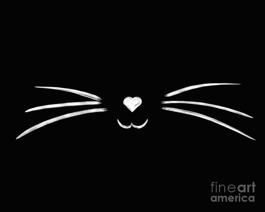 Cat Drawing - Cat whiskers by Delphimages Photo Creations