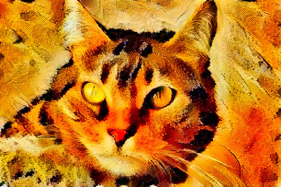 Cat with Butterfly texture Digital Art by Bruce Block