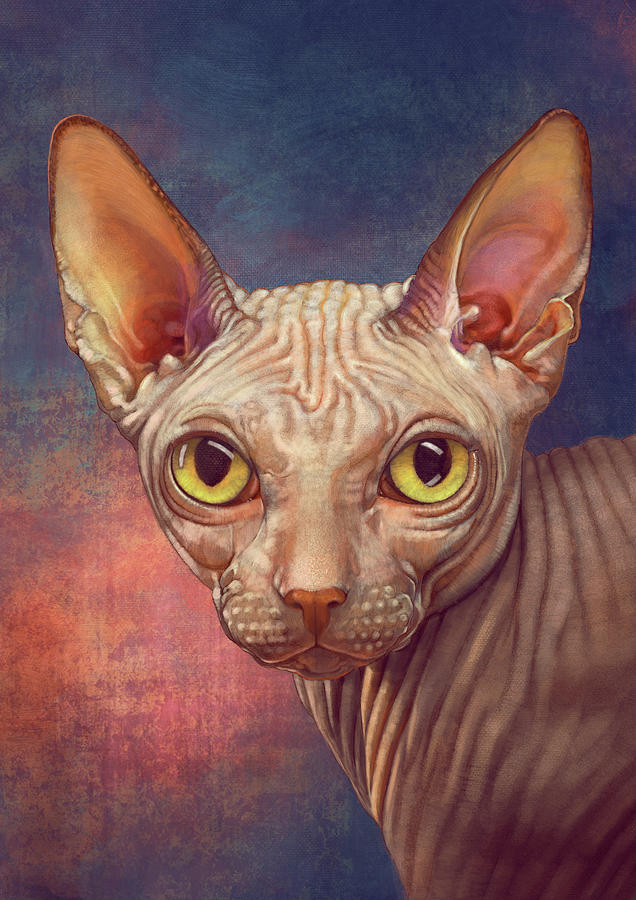 Cat04, Sphynx Painting by Tu Tu - Fine Art America