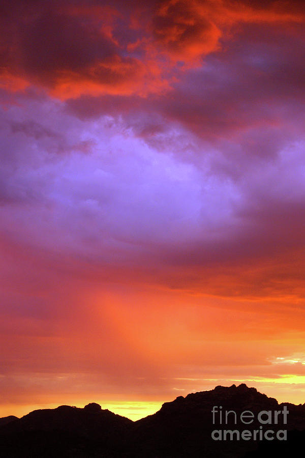 Catalina Evening Sky Photograph by Douglas Taylor