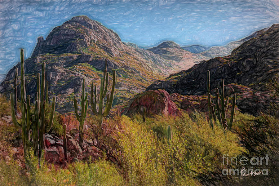 Catalina State Park Photograph - Catalina Foothills by Catherine Pearson