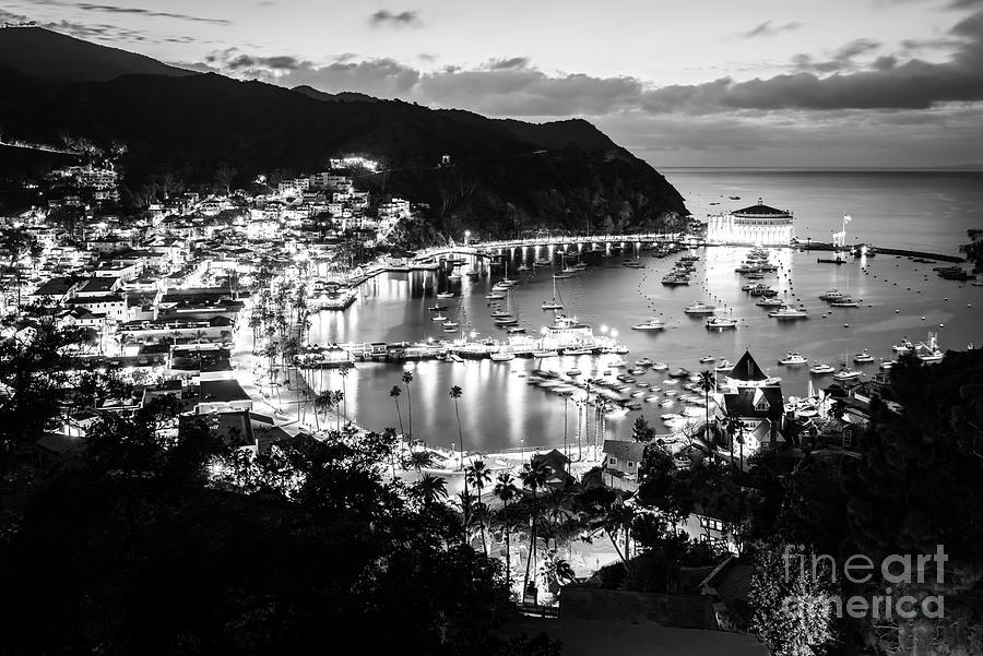 Catalina Island at Night Black and White Photo Photograph by Paul Velgos