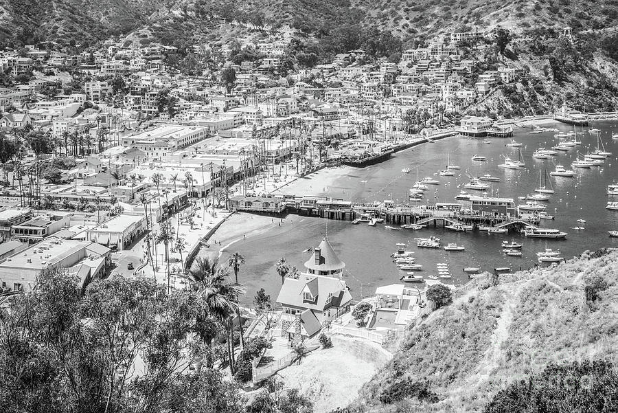 Black And White Photograph - Catalina Island Avalon Cityscape Black and White Photo by Paul Velgos