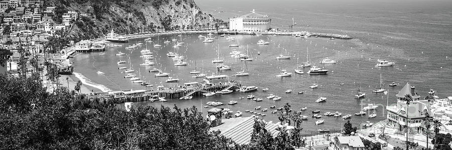 Catalina Island Avalon Harbor Black and White Panorama Photograph by Paul Velgos