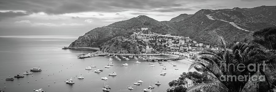Catalina Island Avalon Harbor Black and White Panorama Photo Photograph by Paul Velgos