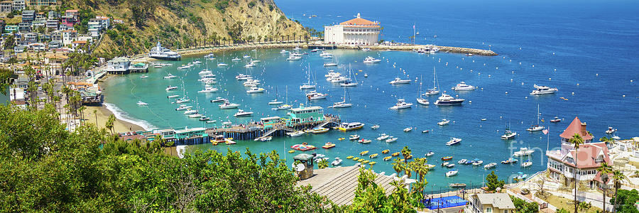 Catalina Island Avalon Harbor Panorama Photograph by Paul Velgos