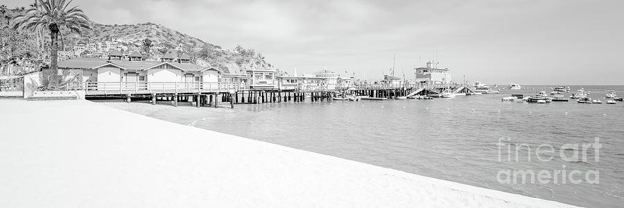 Catalina Island Beach Black and White Panorama Photo Photograph by Paul Velgos