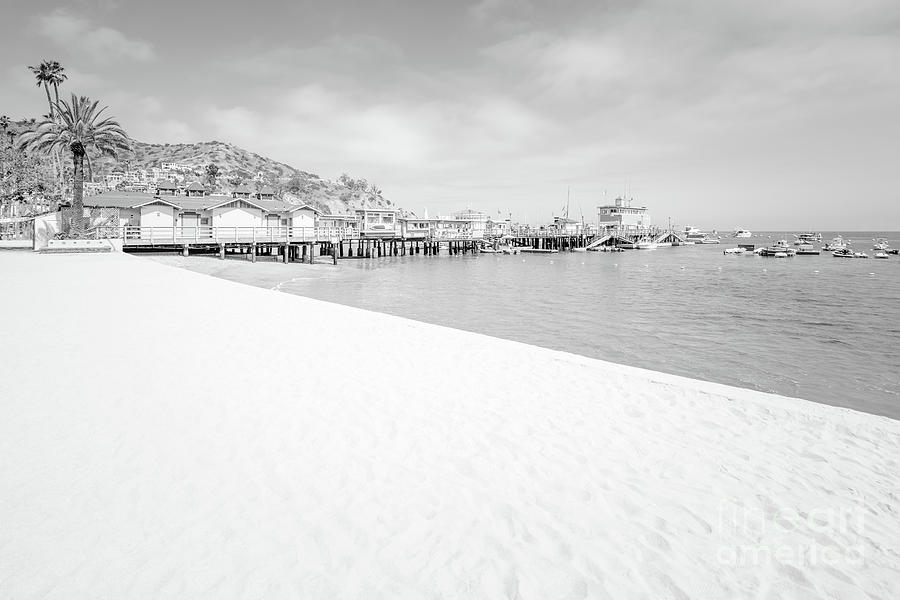 Catalina Island Beach Black and White Photo Photograph by Paul Velgos
