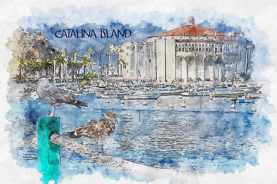 Catalina Island Digital Art by Bonny Puckett