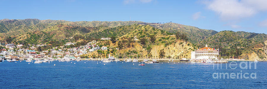 Catalina Island California Panorama Photo Photograph by Paul Velgos