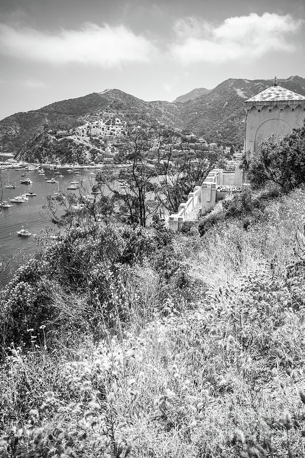 Catalina Island Chimes Tower Black and White Photo Photograph by Paul Velgos