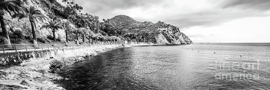 Beach Photograph - Catalina Island Descanso Bay Black and White Panorama Photo by Paul Velgos