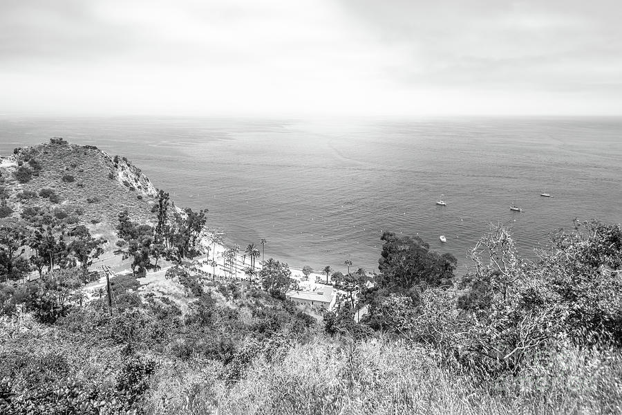 Catalina Island Descanso Bay Black and White Photo Photograph by Paul Velgos
