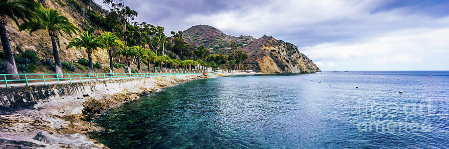Catalina Island Descanso Bay Panorama Photo Photograph by Paul Velgos