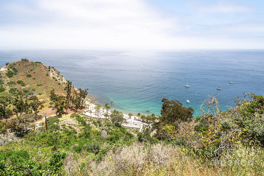 Catalina Island Descanso Bay Photo Photograph by Paul Velgos