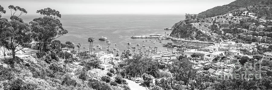 Catalina Island From Above Black and White Panoramic Photo Photograph by Paul Velgos