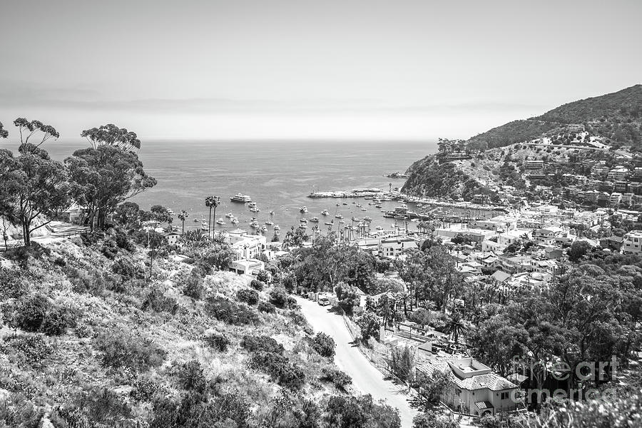 Catalina Island From Above Black and White Photo Photograph by Paul Velgos
