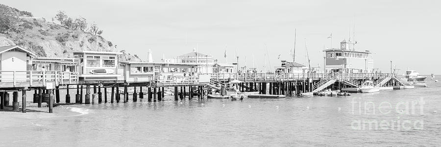 Catalina Island Pier Black and White Panorama Photo Photograph by Paul Velgos