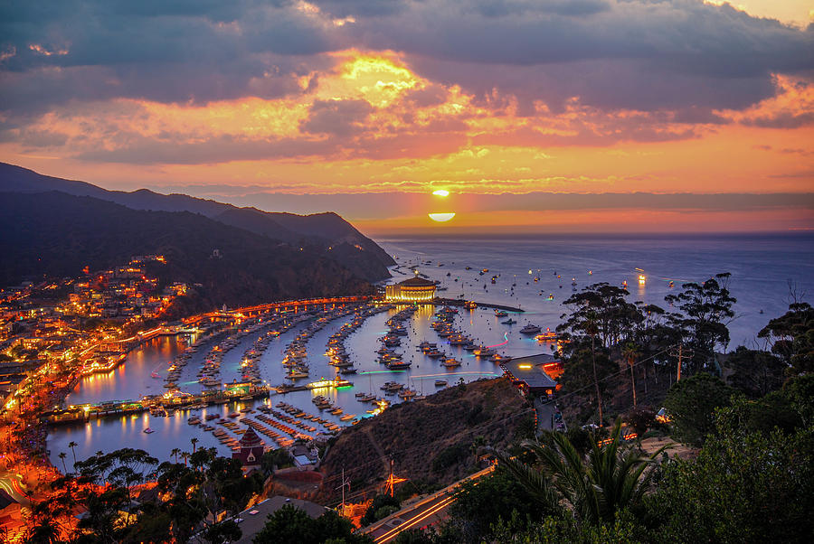 Catalina Island Sunset Photograph by Steve Snyder | Fine Art America