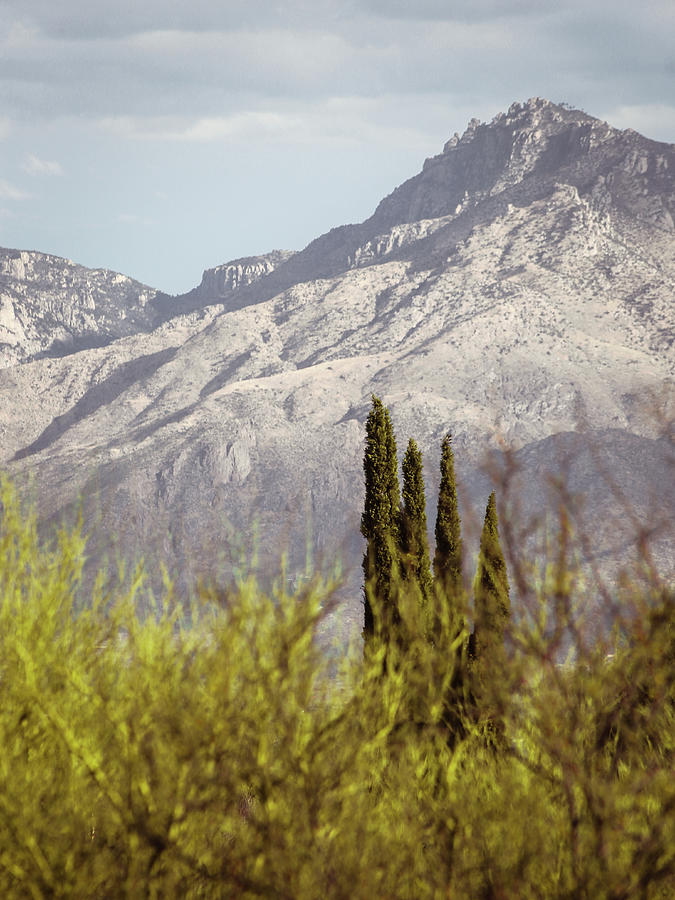 Catalina Mountains Photograph by Katie Dobies