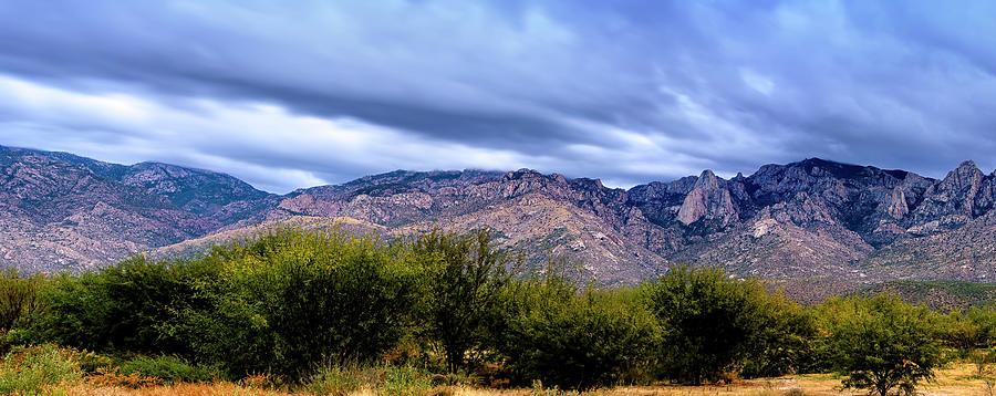 Catalina Mountains P24230L2 Photograph by Mark Myhaver
