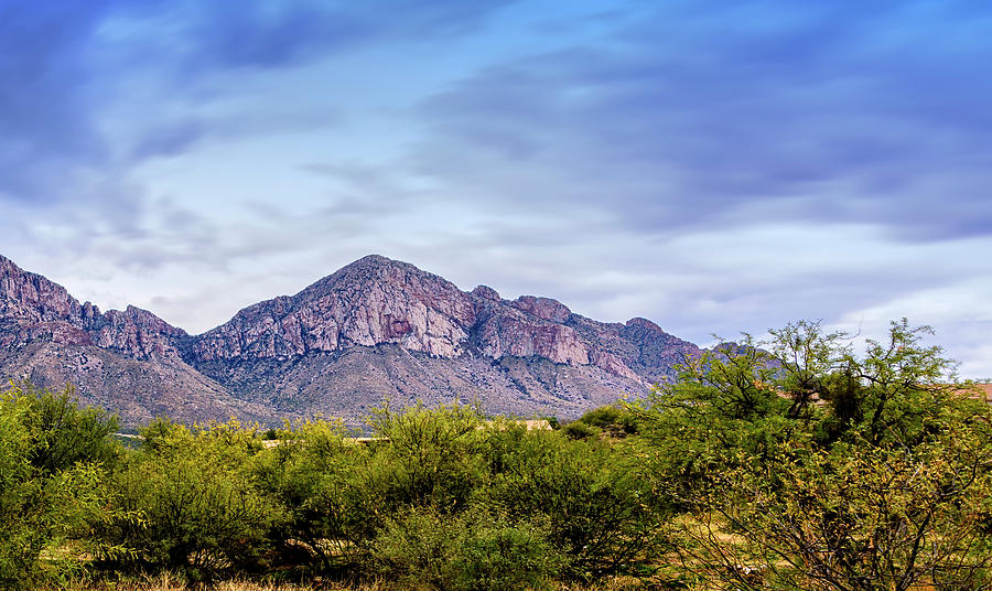 Catalina Mountains P24230R3 Photograph by Mark Myhaver