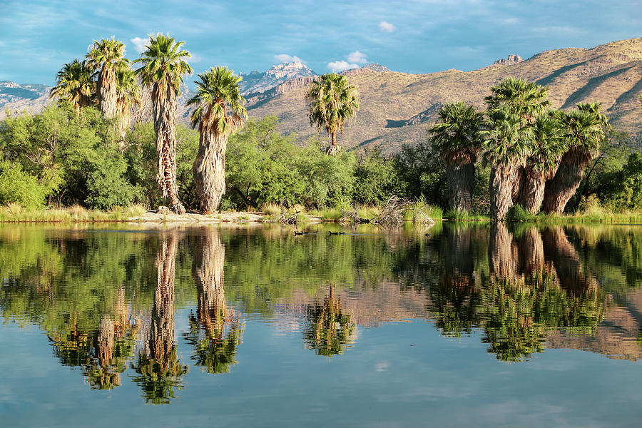 Catalina Mountains Reflection Photograph by Katie Dobies