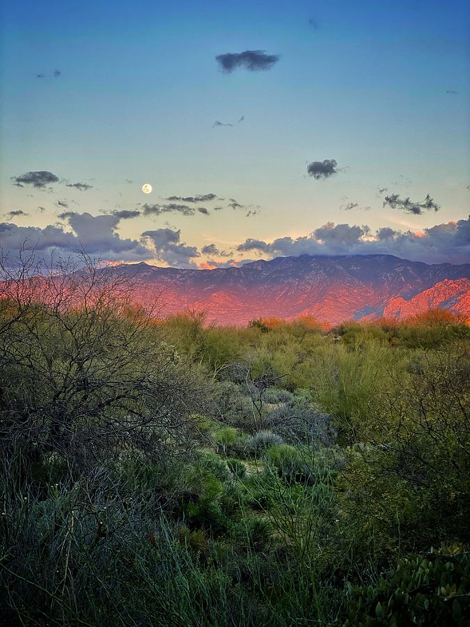 Catalina Mountains Sunset Photograph by Jerry Abbott
