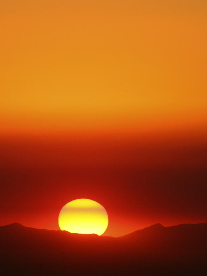 Catalina Sun Photograph by Andre Aleksis