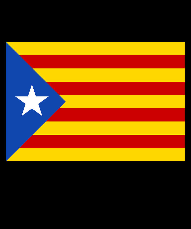 Catalonia Digital Art by Flippin Sweet Gear