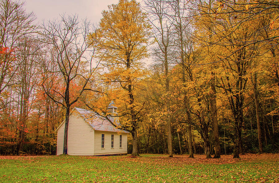 Cataloochee Autumn by Marcy Wielfaert Cataloochee Autumn by Marcy Wielfaert