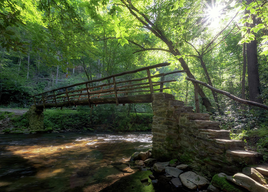 Cataloochee Creek Split Log Bridge - Great Smoky Mountains Photograph by Susan Rissi Tregoning