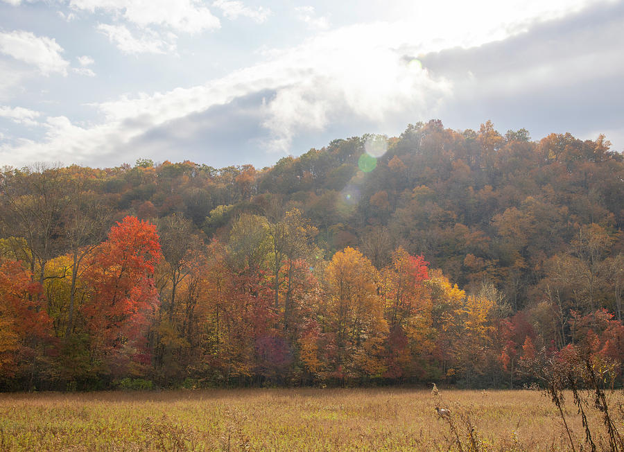 Cataloochee Valley Autumn Morning Photograph by Dan Sproul