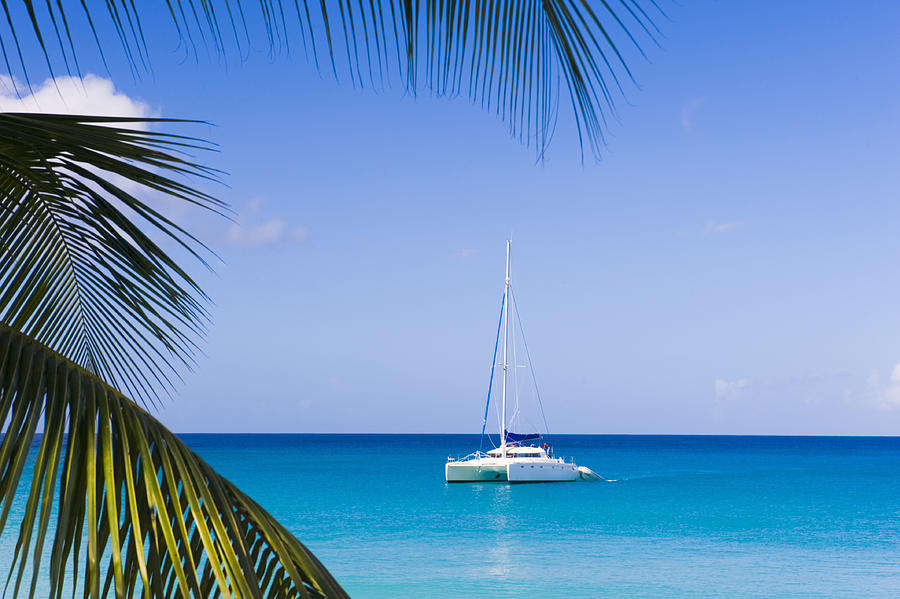 Catamaran in the Caribbean Photograph by Isitsharp